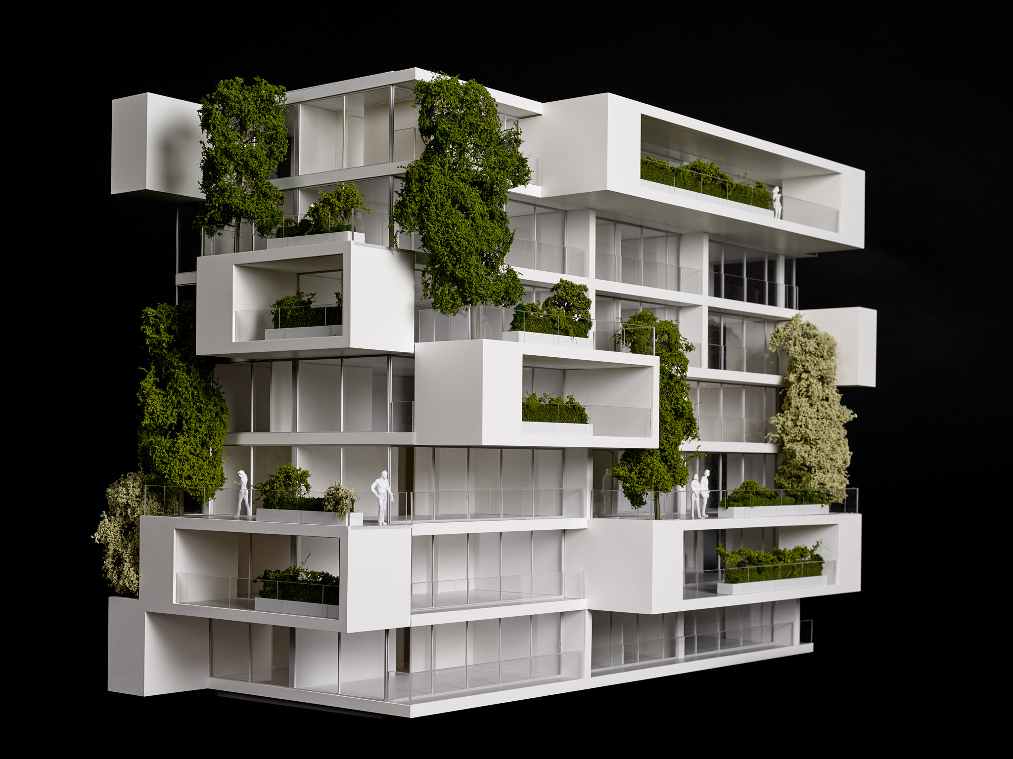 E15567 Alpa 053524 SCREEN